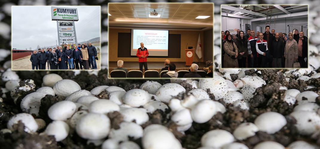 Mantar Yetiştiriciliği Kursu Düzenlendi