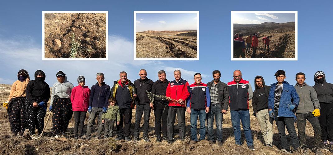 İlimizde Mera Islah Amaçlı Tuz Çalısı Dikimi Projesi Devam Ediyor