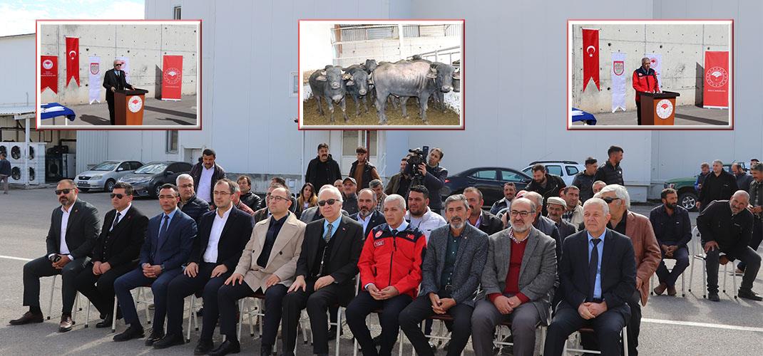 Anadolu Mandaları Yetiştiricilerimize Teslim Edildi